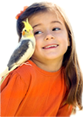 birds