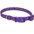 Coastal Pet Attire Styles     , 2.546-66