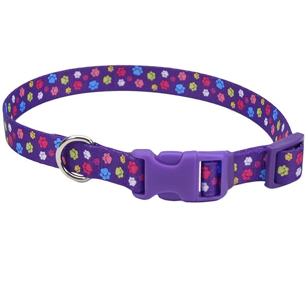 Coastal Pet Attire Styles КОСТАЛ СТАЙЛС нашийник для собак, 2.5х46-66см
