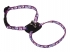 Coastal Li`l Pals Dog Harnes КОСТАЛ ЛІТТЛ ПЕЛС шлея для собак, 0.8х15-25см