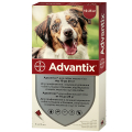 Bayer Advantix     , ,    10-25 ,  2,5 