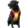 Coastal for Hunting Dogs      