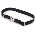 Coastal Titan Buckle     , 1.936-51c