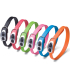 PetSafe ֲ- (Cinch-It) .    , 30,5-49,5, 