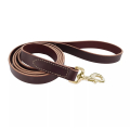 Coastal Circle-T Dog Leash  -       