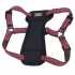 Coastal K9 Explorer Harness КОСТАЛ К9 ЕКСПЛОРЕР світловідбивна шлея з нагрудником для собак 2.3-4.5кг