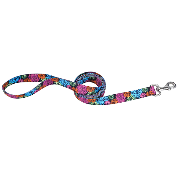 Coastal Pet Attire Styles КОСТАЛ СТАЙЛС повідець для собак, 1смХ1.2м