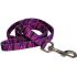 Coastal Pet Attire Styles     , 21.2