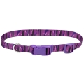 Coastal Pet Attire Styles     , 235-50