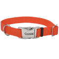 Coastal Metal Buckle     , 2.536-51c