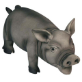 Flamingo Black Pig ̲       