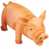 Flamingo Orange Pig ̲       
