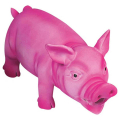 Flamingo Pink Pig ̲       