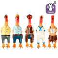 Flamingo Chicken Village People ̲ ײ ²      