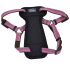Coastal K9 Explorer Harness КОСТАЛ К9 ЕКСПЛОРЕР світловідбивна шлея з нагрудником для собак 2.3-4.5кг