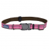 Coastal K9 Explorer Collar  9     , 2.546-66