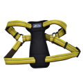 Coastal K9 Explorer Harness  9        11.3-22.6