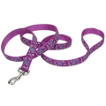 Coastal Pet Attire Ribbon  в   , 2.51.8