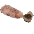 Coastal Compressed Catnip Bird      `  