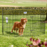 Savic Dog Park ²     