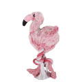 Flamingo Andes Flamingo ̲  ̲      