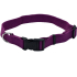 Coastal New Earth Soy Dog Collar КОСТАЛ СОЄВИЙ ЕКОНАШИЙНИК для собак