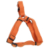 Coastal New Earth Soy Dog Harness  Ϊ   