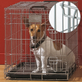 Savic   (Dog Residence)   , 