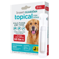 Sergeants Guardian Dogs  Ĳ   , ,     30, 6