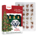 Wanpy Advent Calendar For Dogs ϲ        